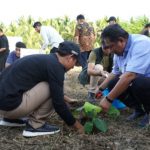 Screenshot_20240608-211629_Chrome