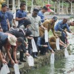 Screenshot_20241216-115646_Chrome