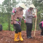 Screenshot_20250212_205749_Chrome